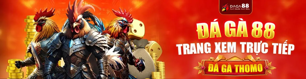 Hình ảnh đại diện dịch vụ hỗ trợ khách hàng 24/7 của AVA8888 WIN 2026