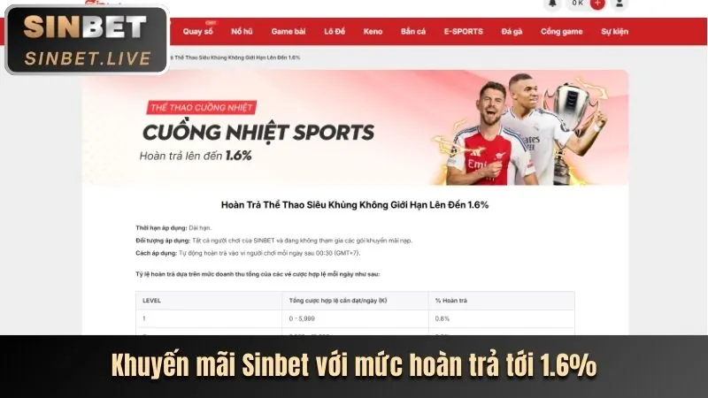Cá cược thể thao trên ứng dụng ava8888 win